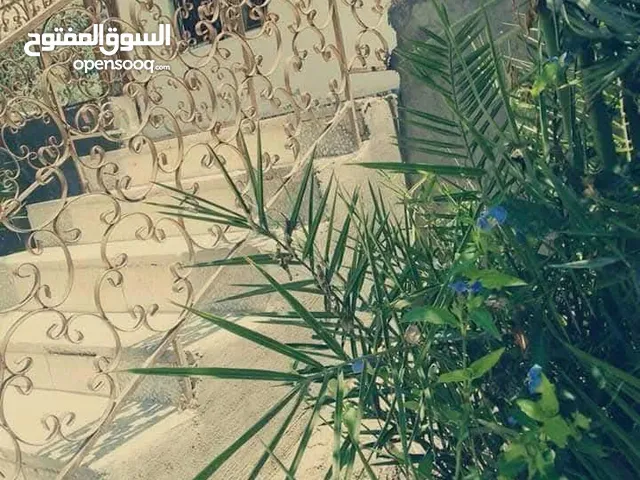 بيت مستقل للبيع