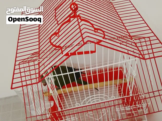 ببغاء كويكر(الراهب) مع قفص مع ماكليتين ومشربيه