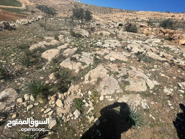 ارض بسعر مغري