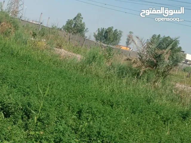 Mixed Use Land for Sale in Karbala Other