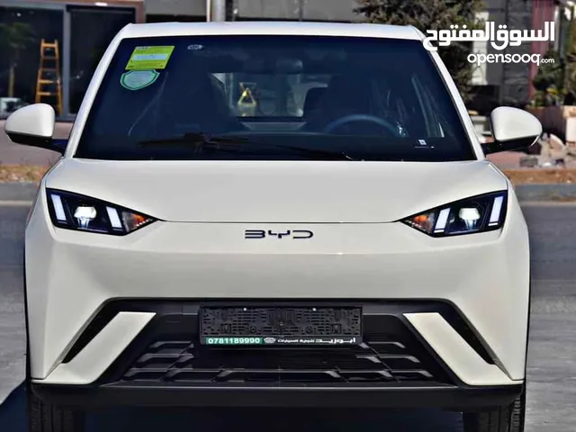BYD SEAGULL FLYING 2024