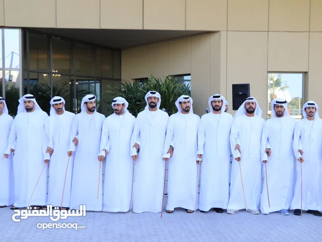 فرقة الفنون الاماراتية