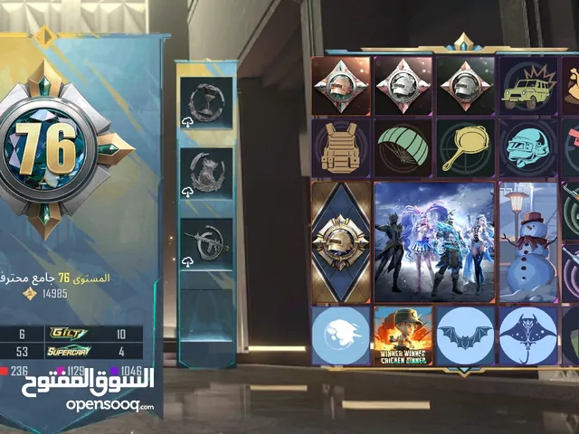 Pubg Accounts and Characters for Sale in Qasr Al-Akhiar