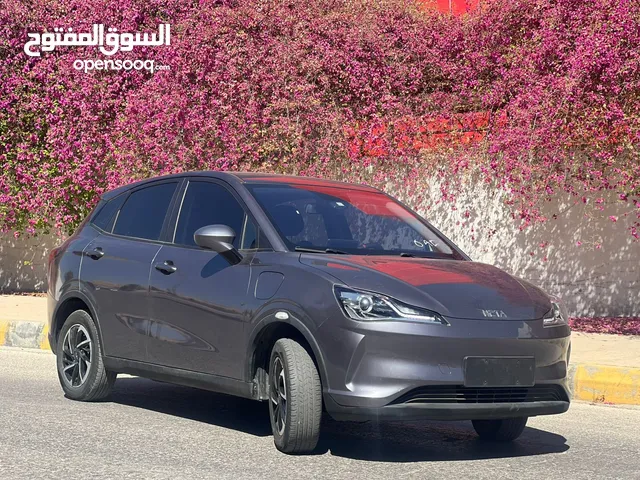 نيتا v Neta 2021 كلين فل كامل بطارية كبيرة للبيع