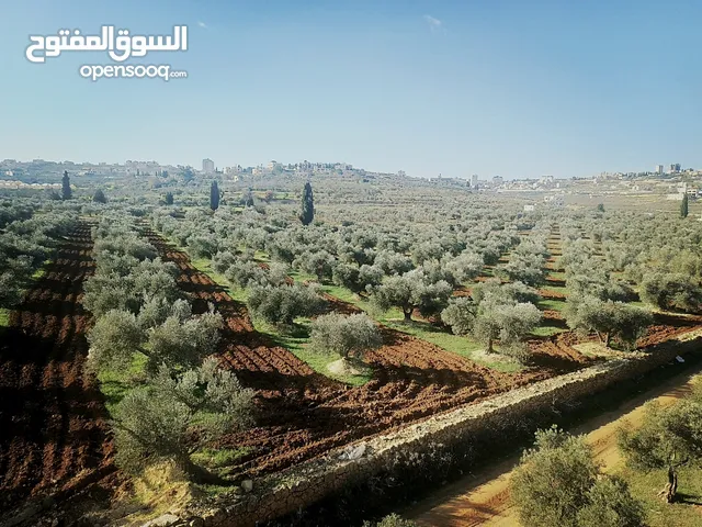 الارض والبناء للبيع سعر حرق عالكا كاش او تقسيط او دفعة واقسيط ممتاز جدا جدا منطقة راقية وحلوة جدا جد