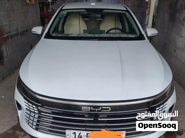 2025 بي واي دي ديستروير