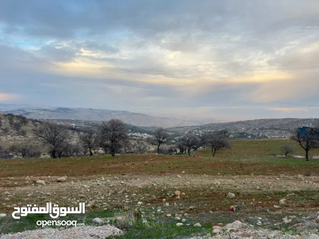 Farm Land for Sale in Zarqa Al-Alouk
