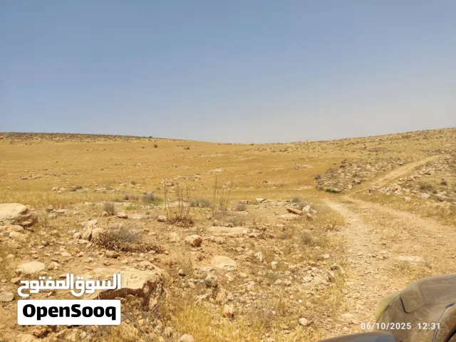Farm Land for Sale in Zarqa Graiba