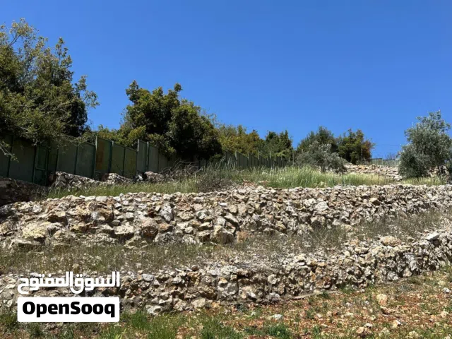 Farm Land for Sale in Jerash Sakib