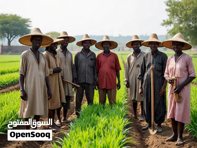 Farm Land for Sale in South Kordofan Abbasiya