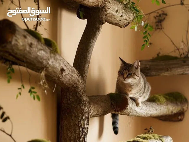 Luxury Cat Towers Stylish Comfort for Your Feline Friends