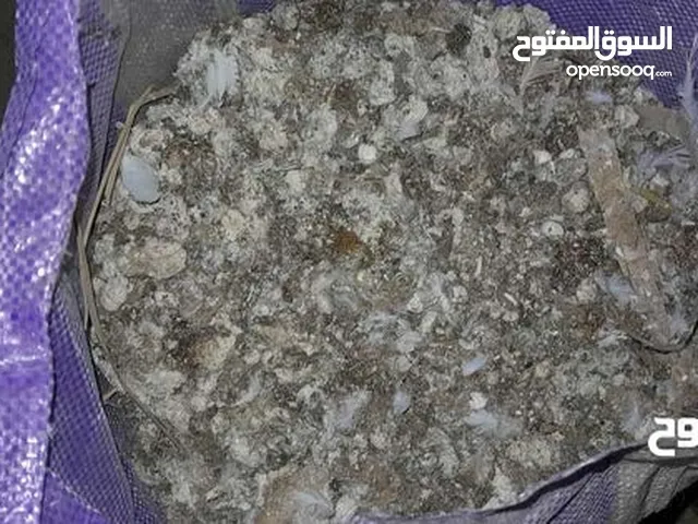 سماد عضوي طيور حمام زبل حاشاكم