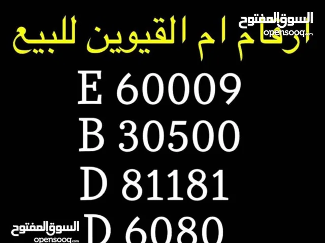 Special number for sale رقم مميز ام القيوين