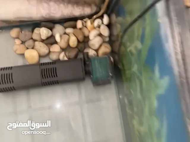 للبيع حوض سمك