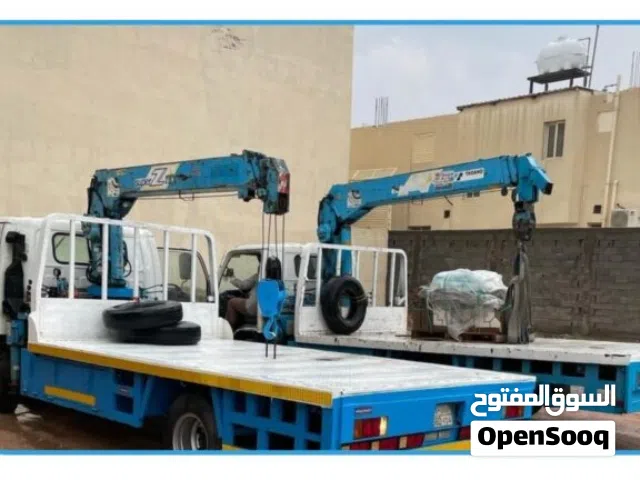 دينا كرين ونش سطحه للايجار