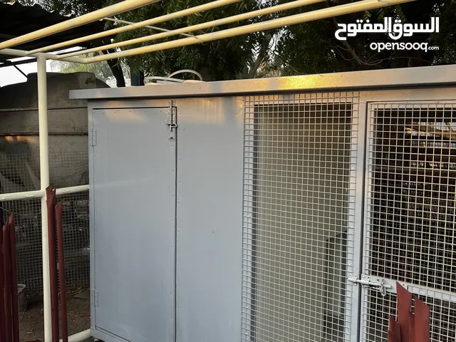 بيت كلاب للبيع جديد