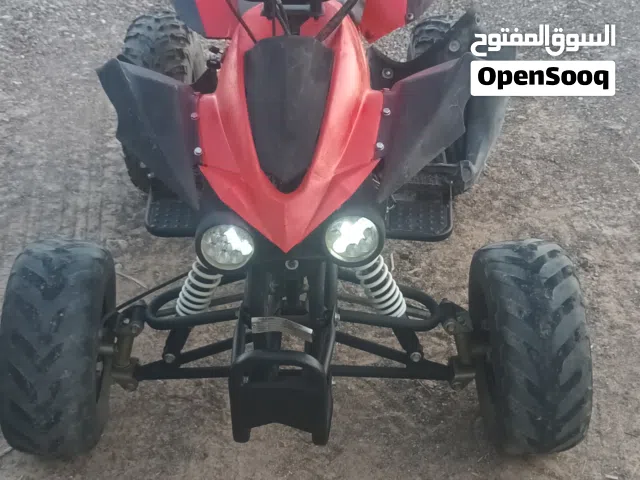 2025 Buggy All Models