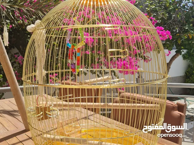 large bird/parrot cage