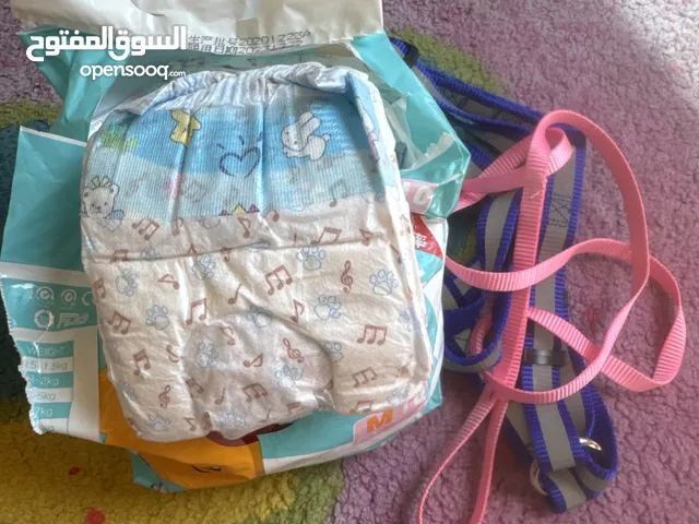 Diapers and holder for puppy