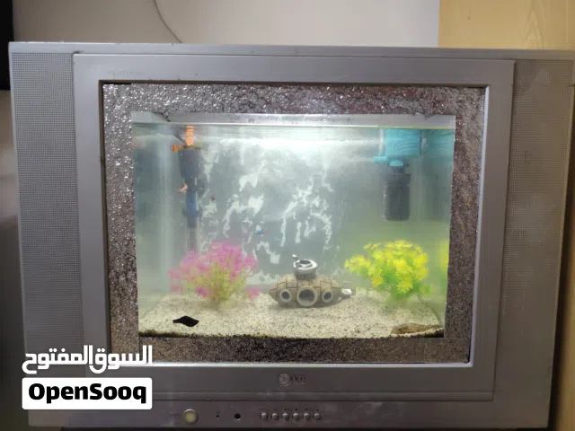 حوض أسماك زينه