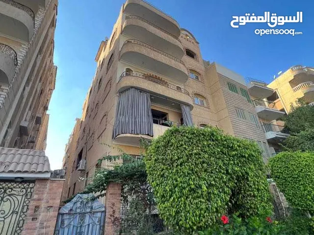 عمارة مميزة للبيع بسعر لقطة لعدم الاستخدام