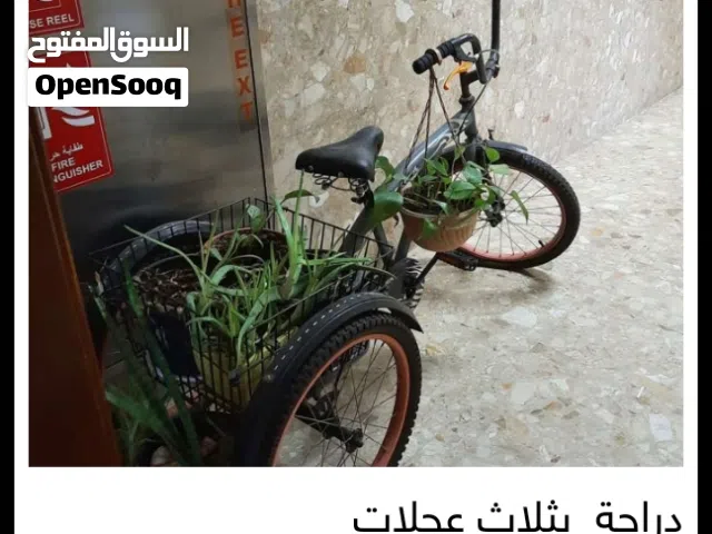 دراجة  بثلاث عجلات