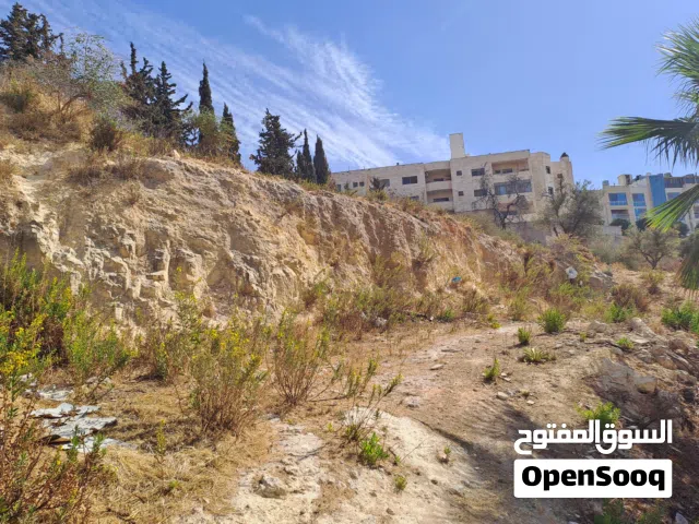 Residential Land for Sale in Amman Khalda