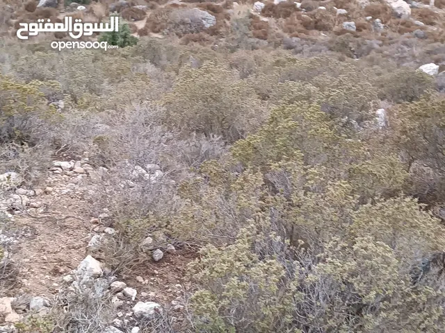 ارض للبيع في جفنا مساحه 600, متر للبيناء