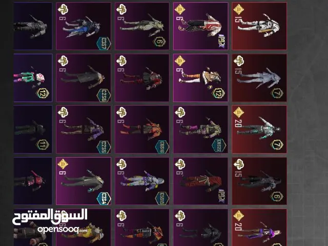 Pubg Accounts and Characters for Sale in Amman