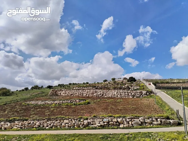 Farm Land for Sale in Ajloun Other