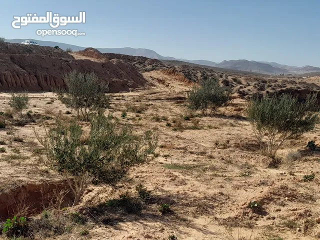 Farm Land for Sale in Gharyan Other