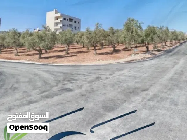 ناعور الروضه سكن ج