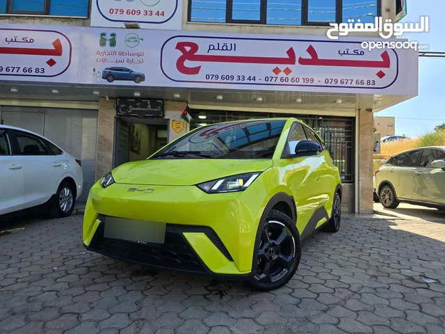 Used BYD Seagull in Amman