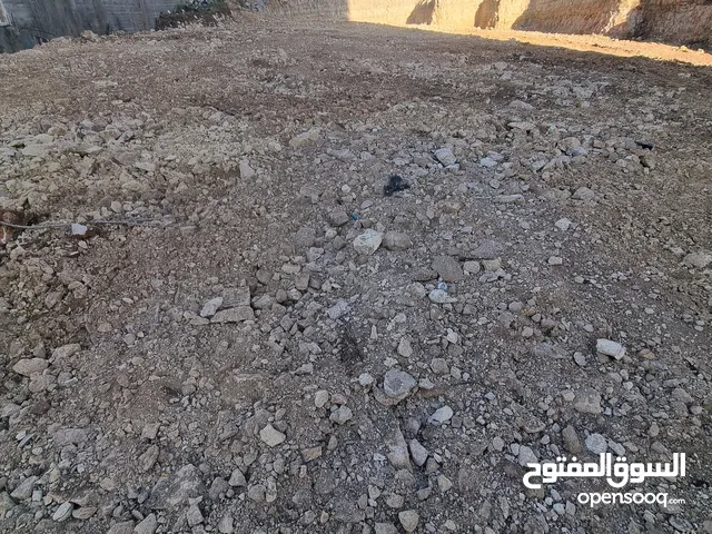 المالك مهدي البكري