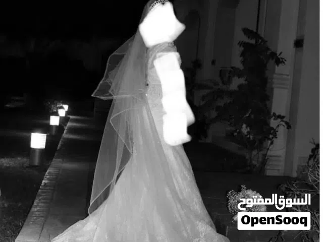 2024 Hand made Wedding dress with veil and crown purchased at 8,000 AED