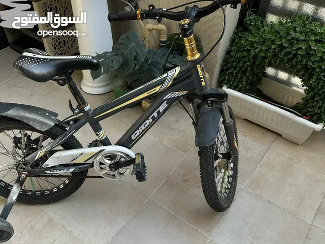 بايسكل متوسط الحجم