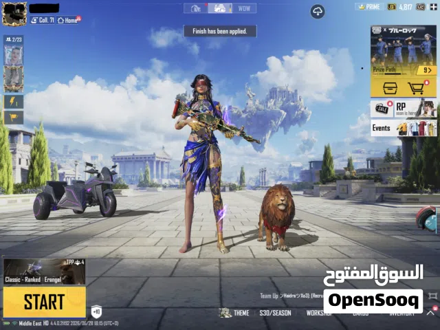 Pubg Accounts and Characters for Sale in Al Karak