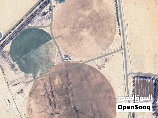 Farm Land for Sale in Zarqa Azraq