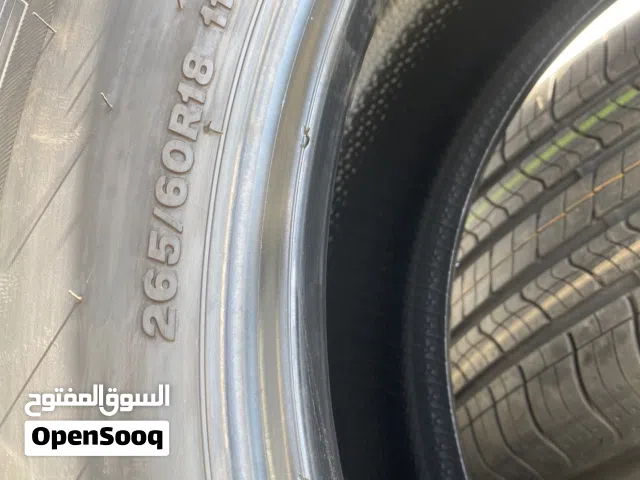 نيكسن موديل 2024 رنج 18   245/65