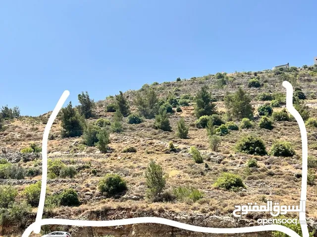 ارض للبيع في منطقة حسكا