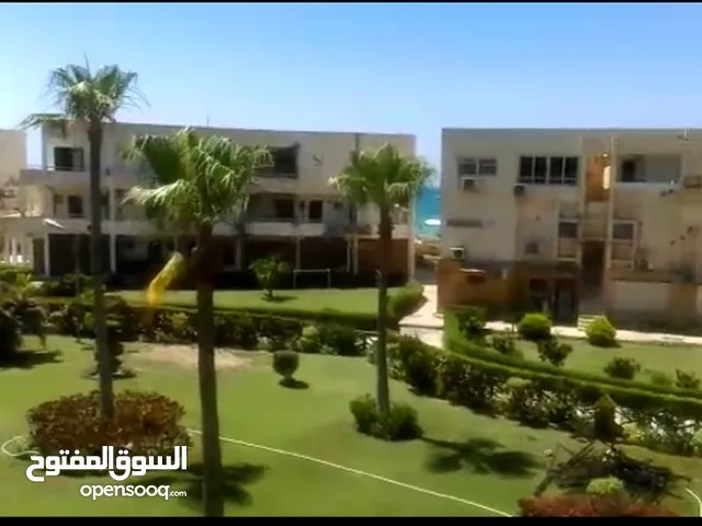 Furnished Daily in Alexandria Maamoura