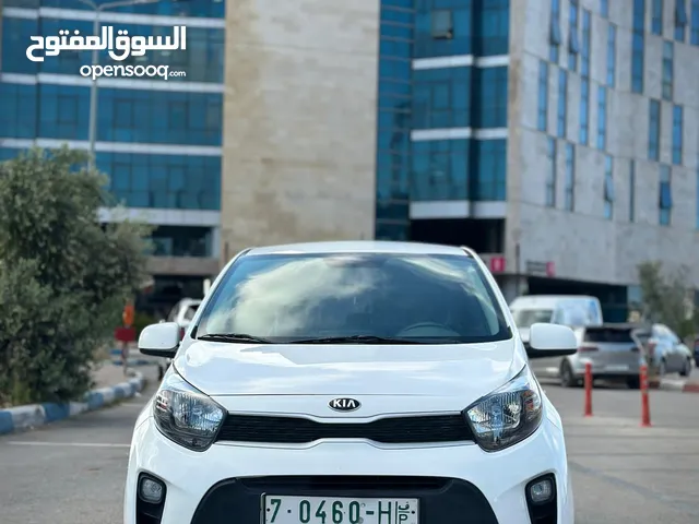 New Kia Picanto in Ramallah and Al-Bireh