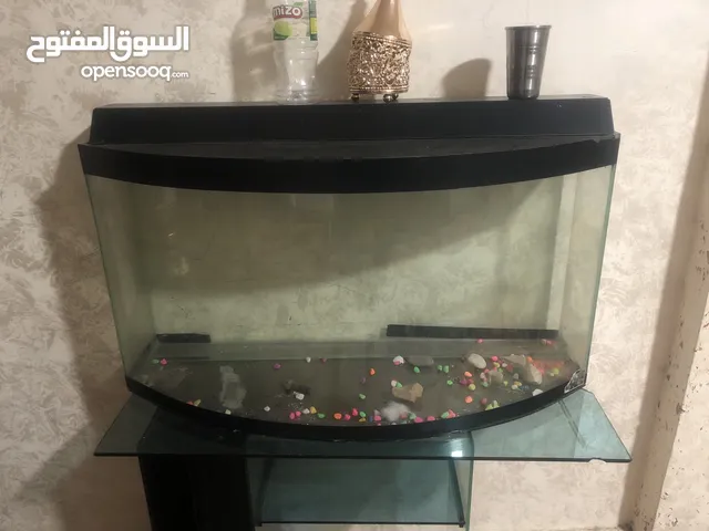 حوض سمك كبير