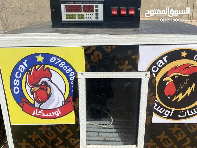 فقاسة بيض للبيع