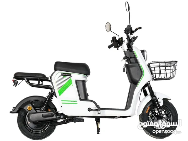 Grocery Ebike - Electric Bike - Electrical Bike - E-Bike
