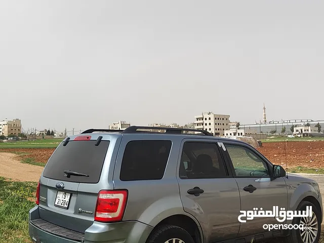 Used Ford Escape in Amman