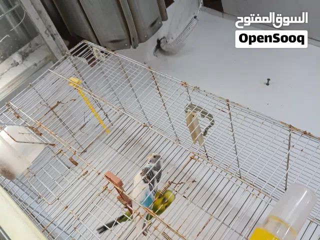 السلام عليكم اقرأ الوصف