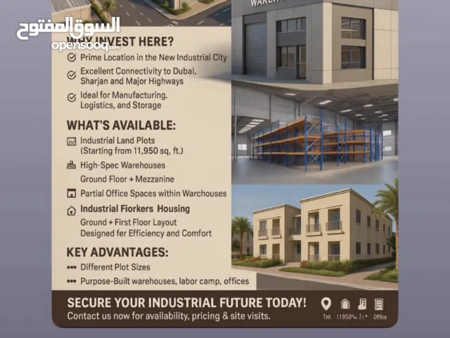 Al Qassimia city 4     المدينة القاسمية