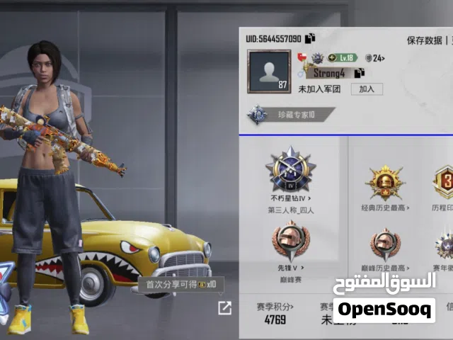 Pubg Accounts and Characters for Sale in Al Dakhiliya