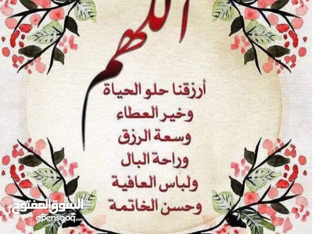 حاتم محمود